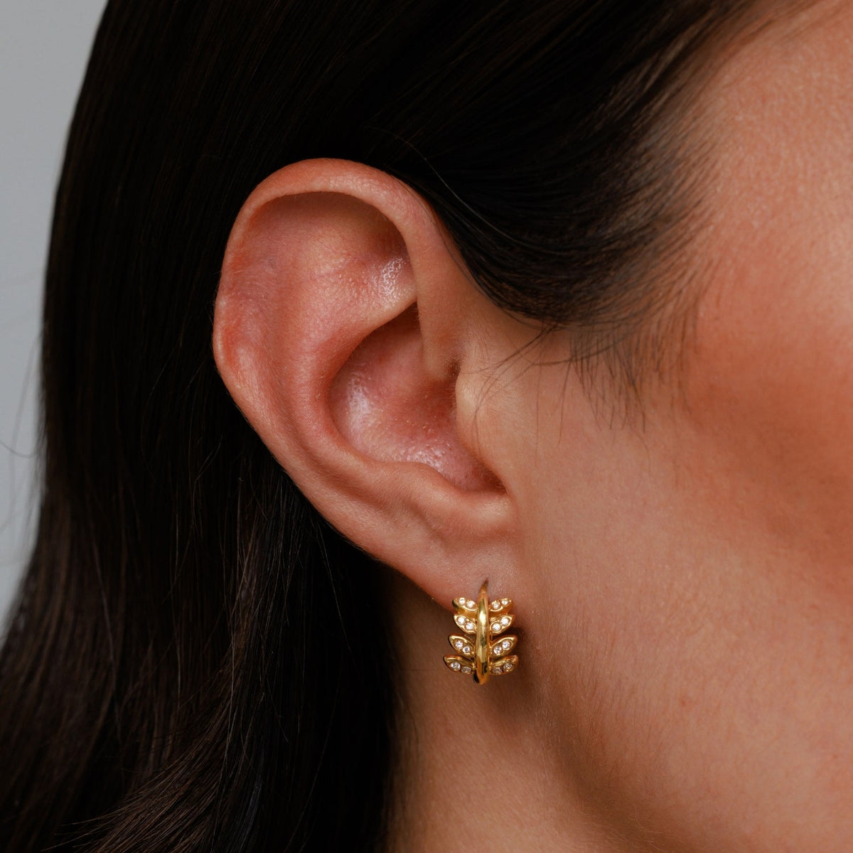 Laurel Hoops Earrings